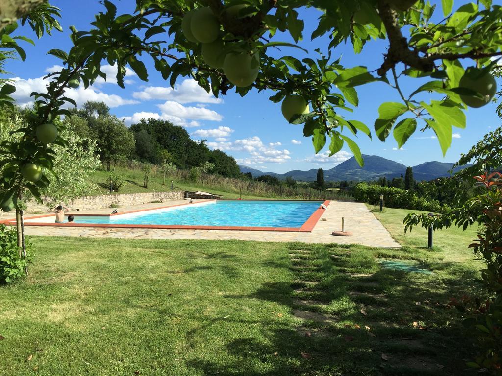Agricola Caicucci Villa Montone Szoba fotó