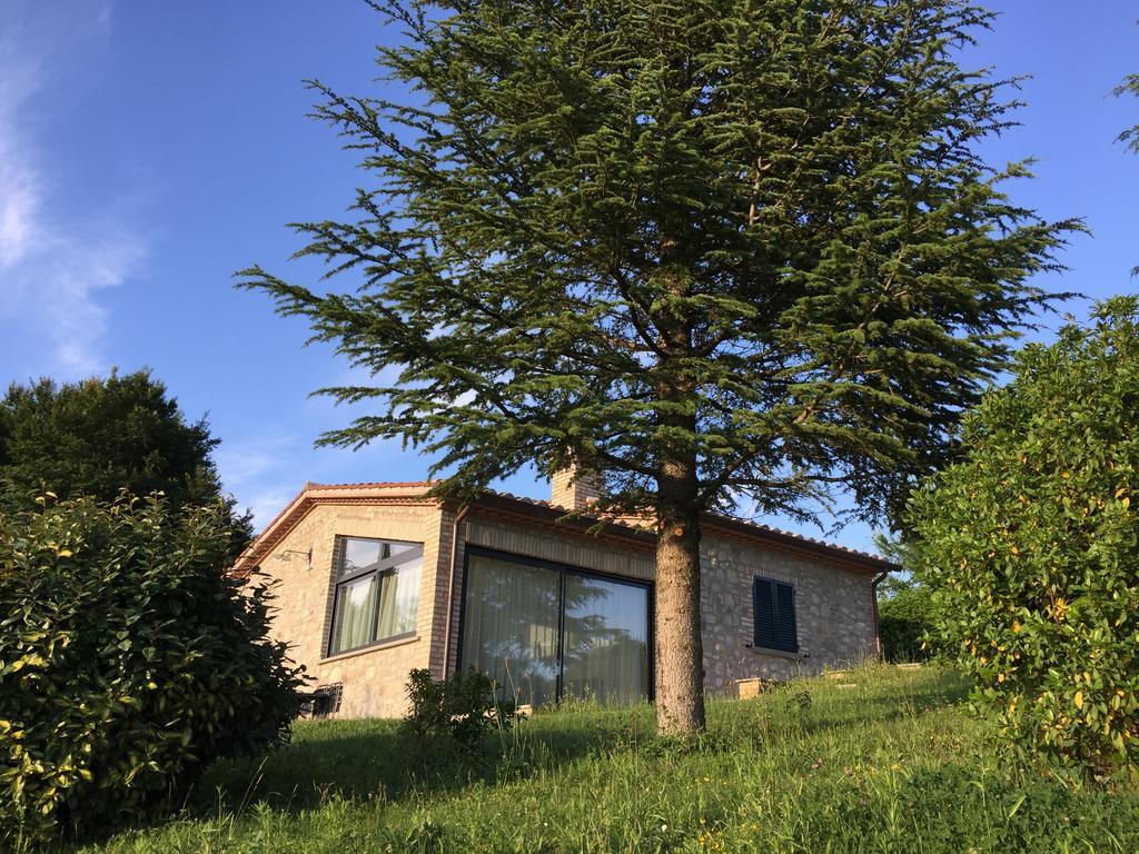 Agricola Caicucci Villa Montone Szoba fotó